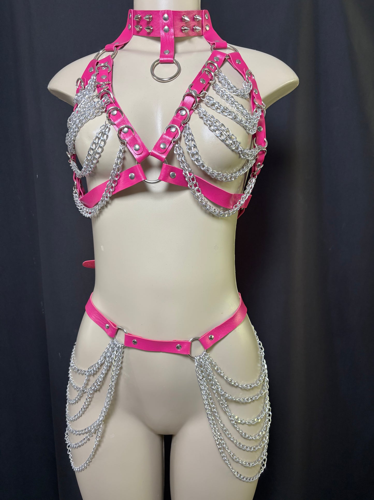 Harness set
